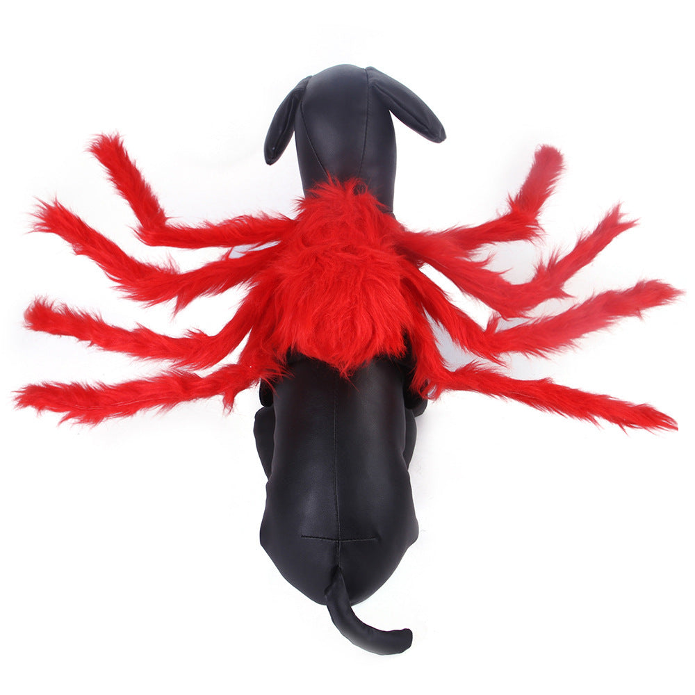 MOSiQ | Day of the Dead Pet Cat Dog Halloween Creative Spider Costume