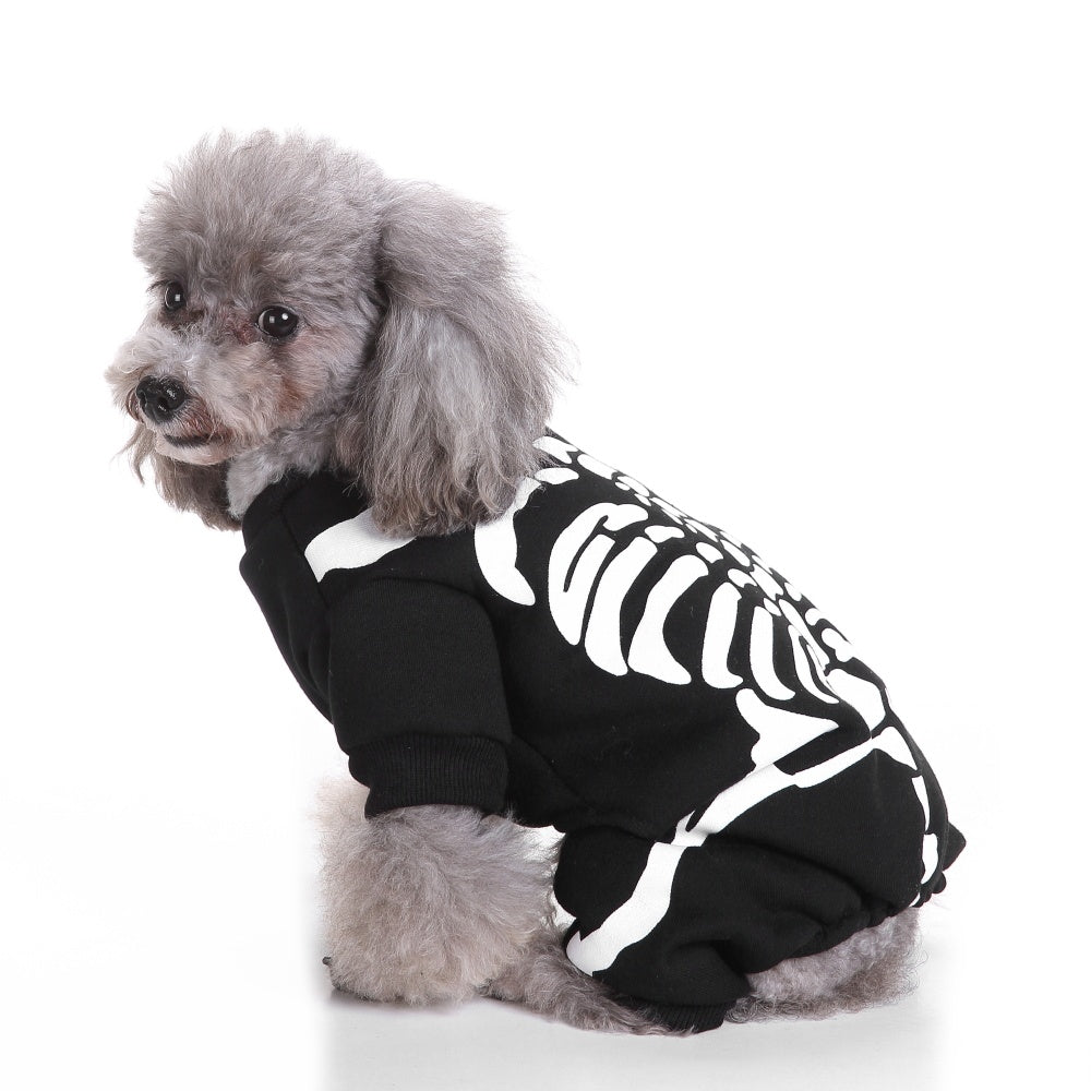 MOSiQ | Day of the Dead  Dog clothes skeleton frame