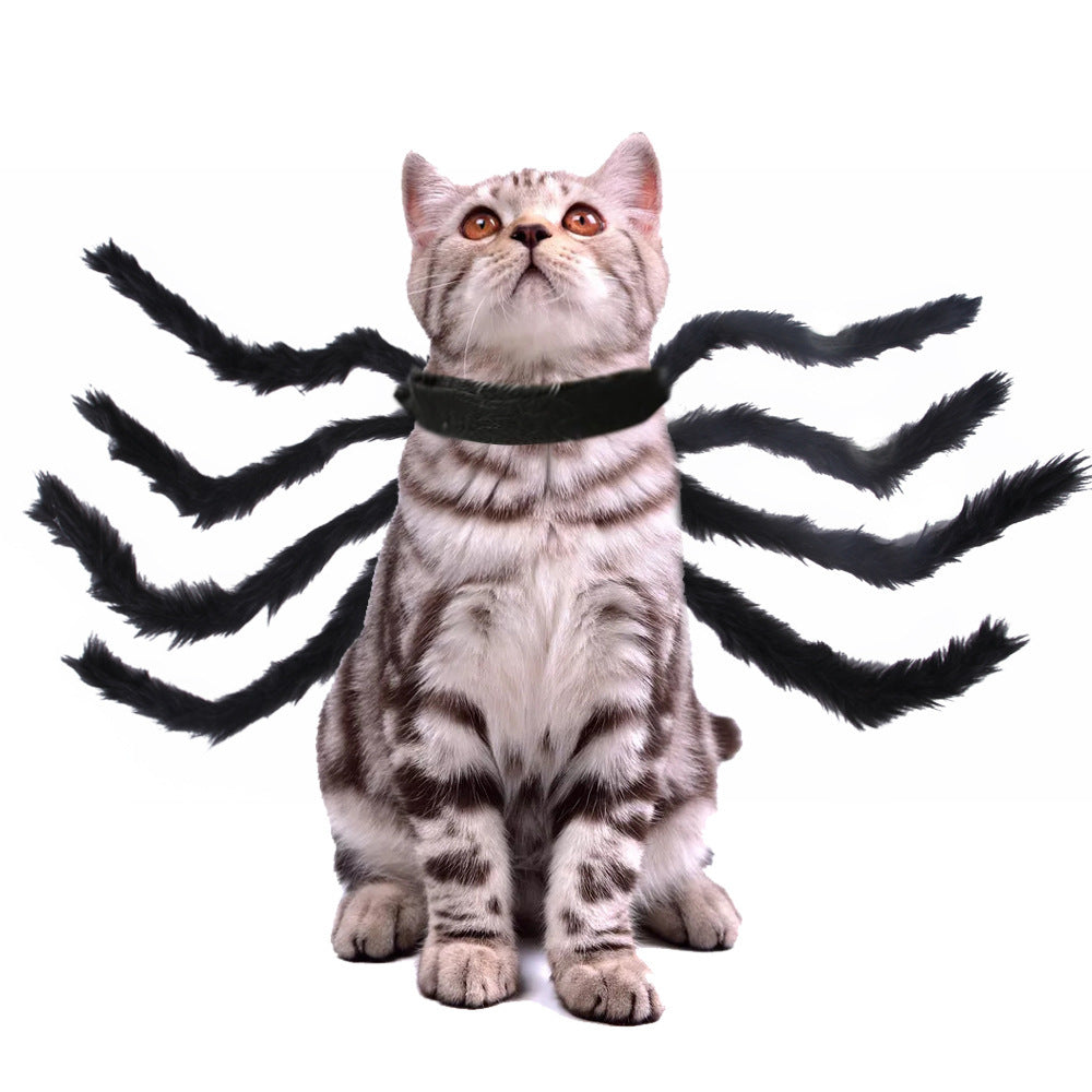 MOSiQ | Day of the Dead Pet Cat Dog Halloween Creative Spider Costume