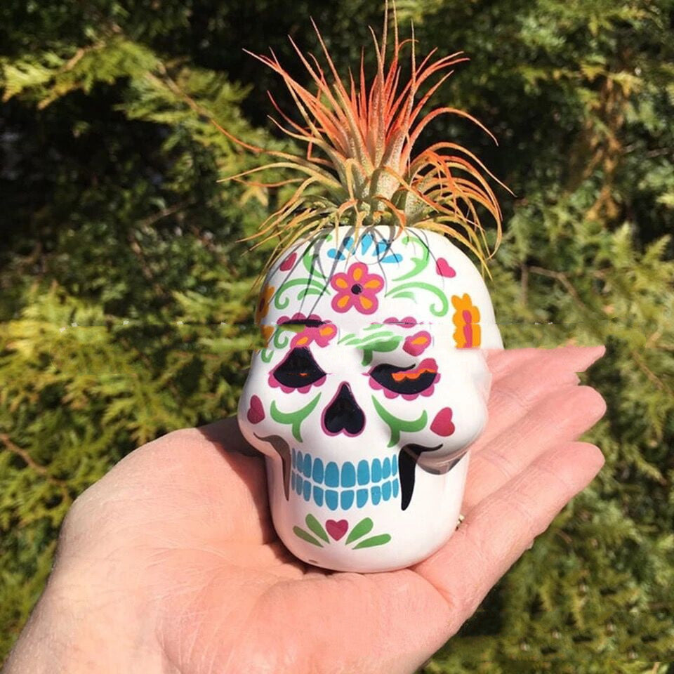MOSiQ Day Of The Dead Skeleton Ornament Succulents